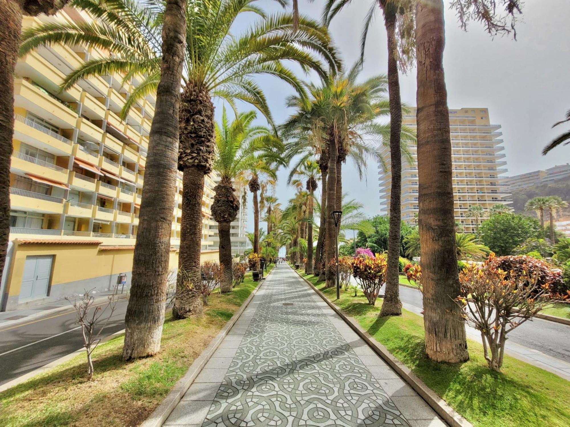 Alta Beachside Apartments 푸에르토 드 라 크루즈 외부 사진